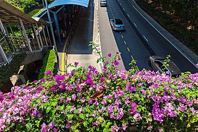 Steam新一周销量榜 《艾尔登法环》四连冠